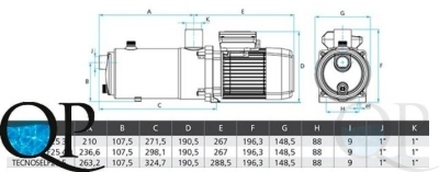 000019162_original