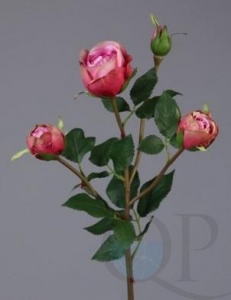 000006748_original