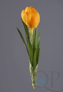 000006526_original