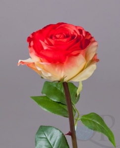 000007515_original