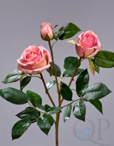 000006737_original