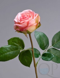 000006720_original