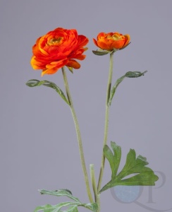 000006602_original