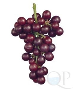 000006842_original