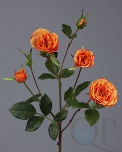 000006733_original
