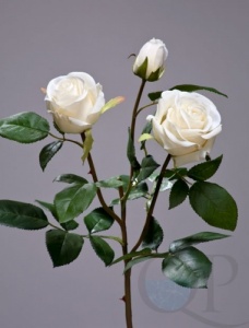 000006730_original