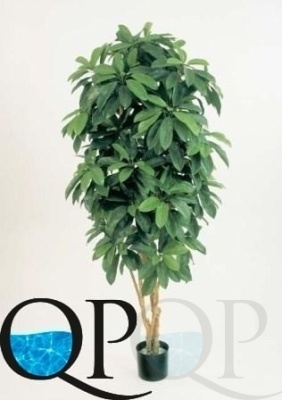 000006410_original