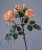000006745_original