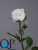 1_1dff835a-7d60-11e5-bf9c-00e05316b922 1_1dff835a-7d60-11e5-bf9c-00e05316b922