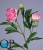 2_ae0c5bf2-77d4-11e5-b857-ec106981ec10