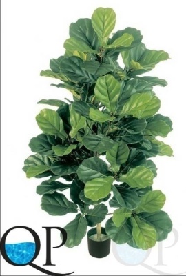 000006418_original