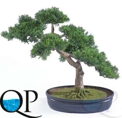 000006264_original
