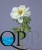 000006483_original 000006483_original