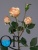 2_1dff833e-7d60-11e5-bf9c-00e05316b922