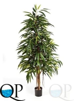 000006329_original
