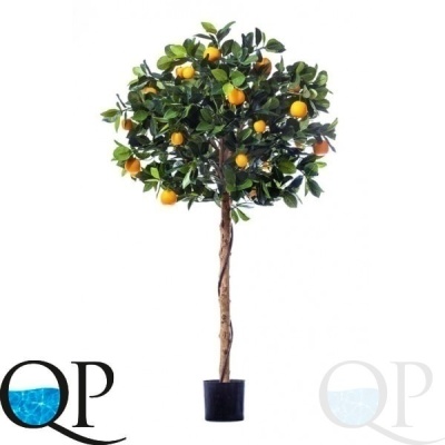 000006342_original