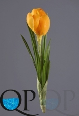 000006526_original