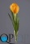 000006526_original