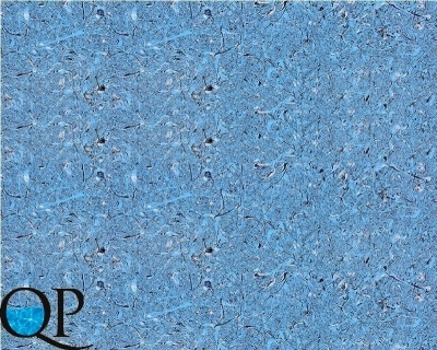 МОРАЙРА