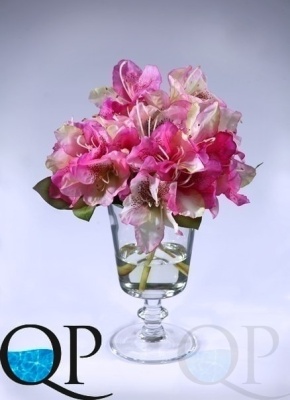 000006655_original