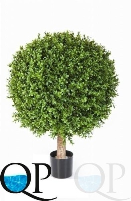 000006385_original
