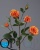000006733_original