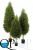 000006309_original 000006309_original