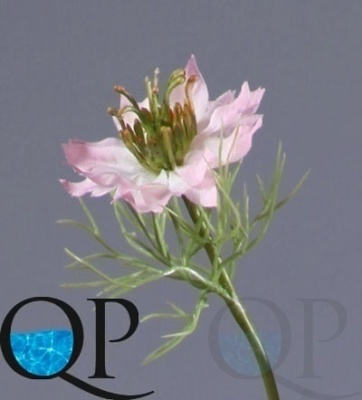000006545_original