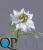 000006541_original 000006541_original
