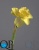 000006539_original 000006539_original