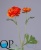 000006602_original