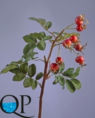 2_b41772bf-77d4-11e5-b857-ec106981ec10