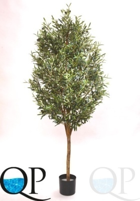 000006346_original