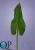 000006822_original 000006822_original