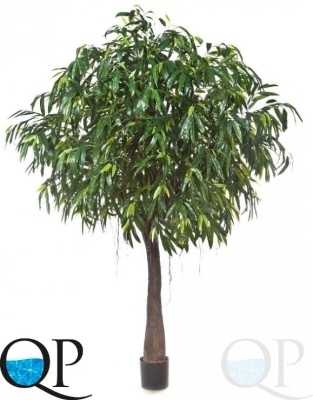 000006334_original