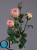 000006751_original