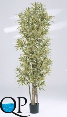 Картинка с сайта