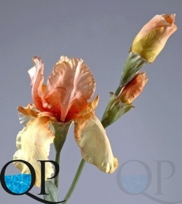 000006520_original