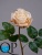 1_1dff8353-7d60-11e5-bf9c-00e05316b922