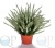 000006795_original 000006795_original