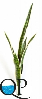 Картинка с сайта