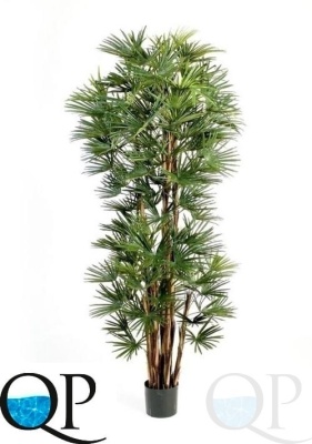 000006360_original