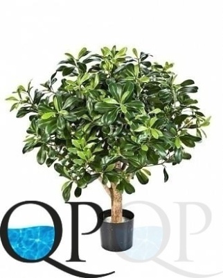 000006371_original