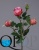 000006748_original 000006748_original