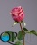 1_5048fb12-4d5f-11e7-a8b5-00e05316b922 1_5048fb12-4d5f-11e7-a8b5-00e05316b922