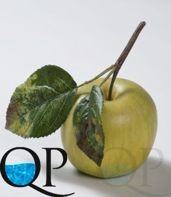 000006838_original