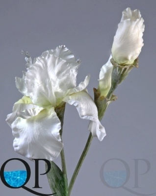 000006517_original
