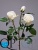 000006730_original