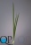 000006820_original