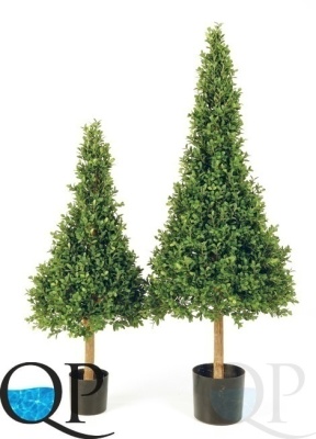 000006380_original